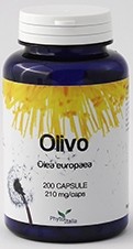 OLIVO 60 CAPSULE