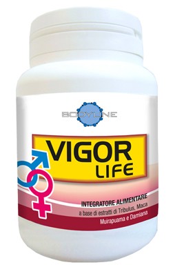 VIGOR LIFE 40 CAPSULE