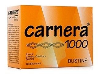 CARNERA 1000 18 BUSTINE