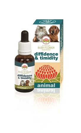 DIFFIDENCE & TIMIDITY 30 ML