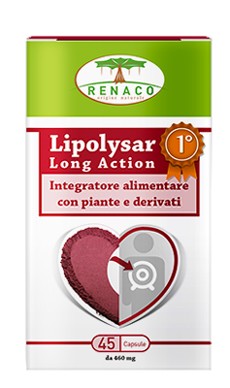 LIPOLYSAR LONG ACTION 45 CAPSULE