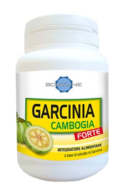 GARCINIA CAMBOGIA FORTE 60 CAPSULE