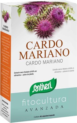 CARDO MARIANO 40 CAPSULE