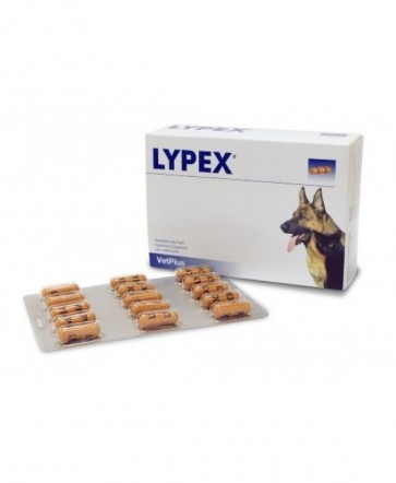 LYPEX 60 CAPSULE