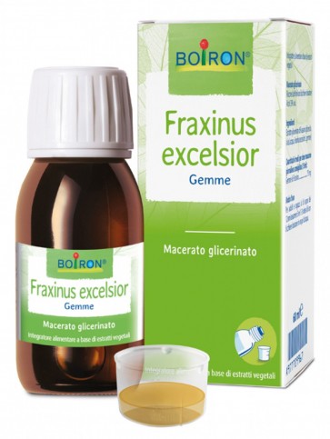 FRAXINUS EXCELSIOR MACERATO GLICERICO 60 ML INT