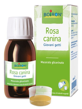 ROSA CANINA MACERATO GLICERICO 60 ML INT