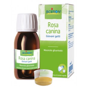 ROSA CANINA MACERATO GLICERICO 60 ML INT