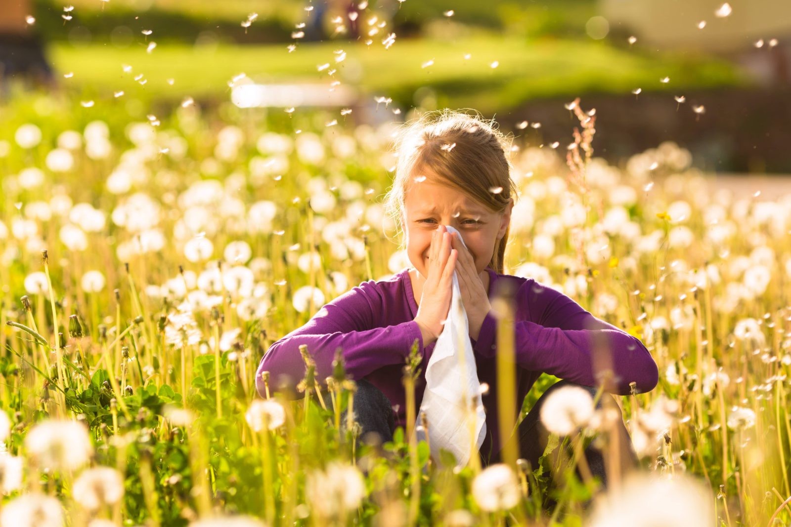 Come vivere con l'allergia: i migliori prodotti per alleviare i sintomi